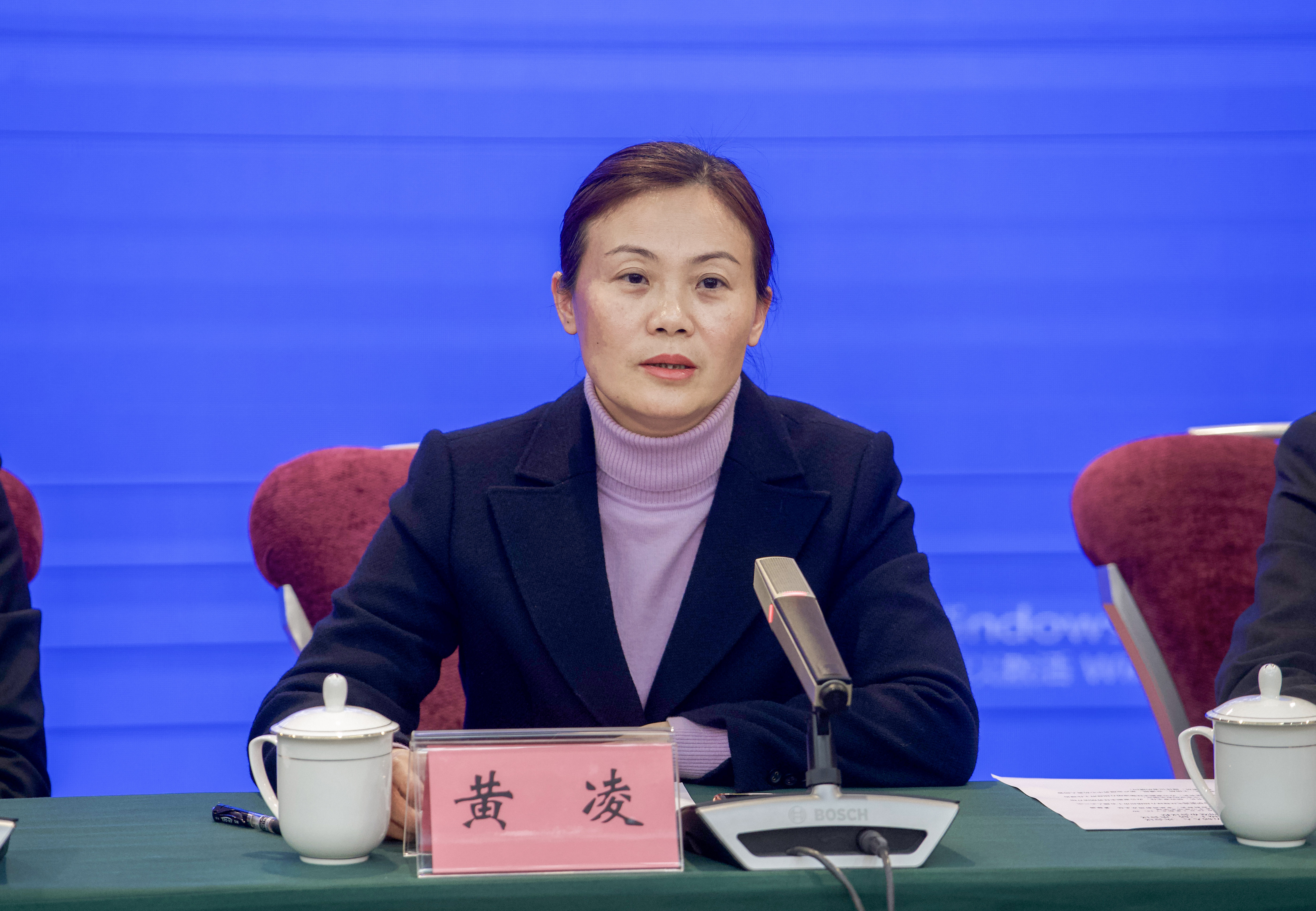 黄凌:感谢这位记者朋友,我市正在制定茶园种植"十四五"规划,科学规划