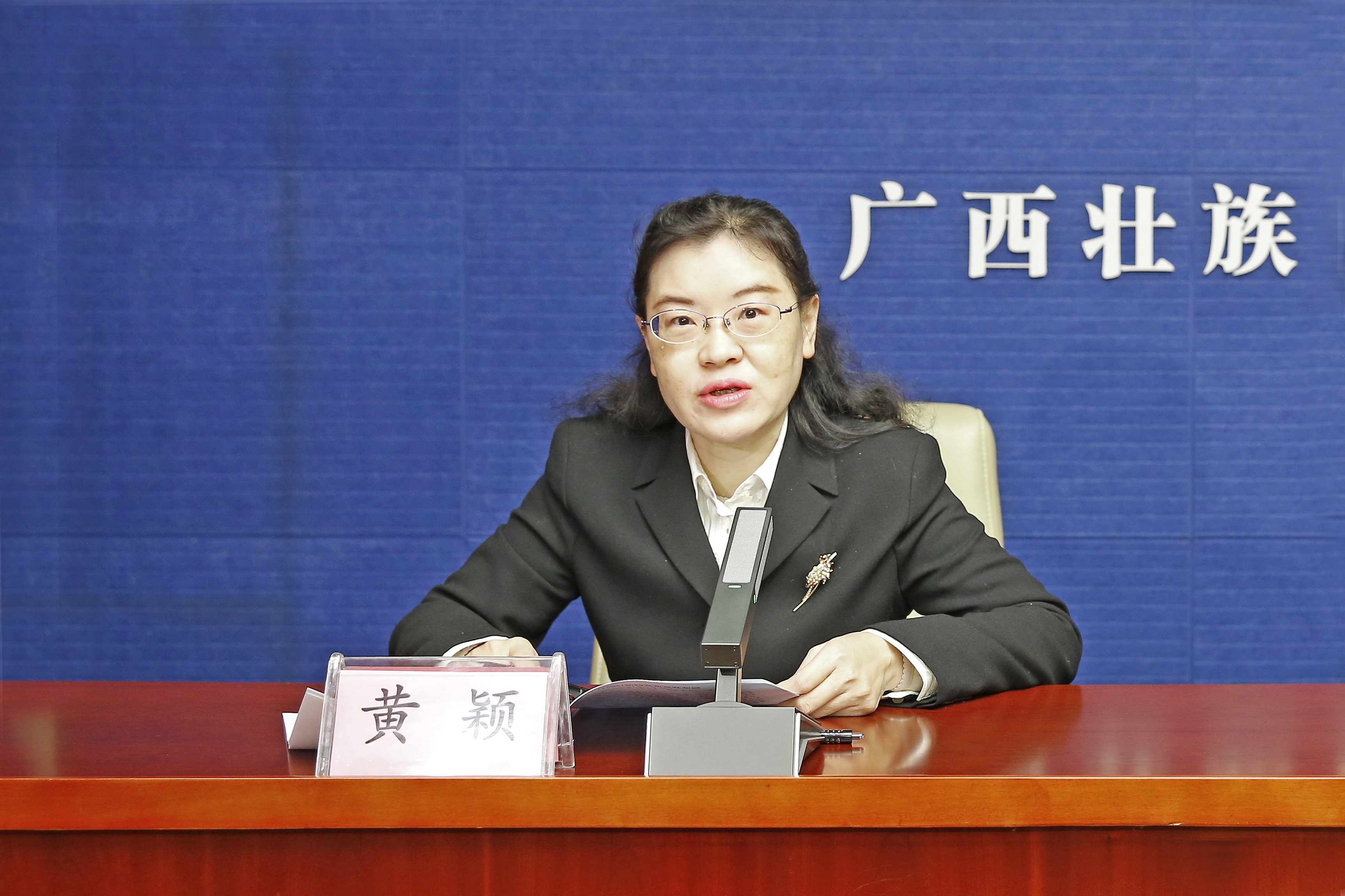 自治区生态环境厅召开1月例行新闻发布会